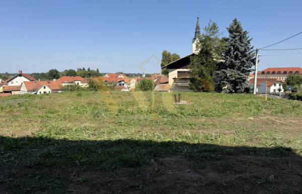IMG_7475_rezultat