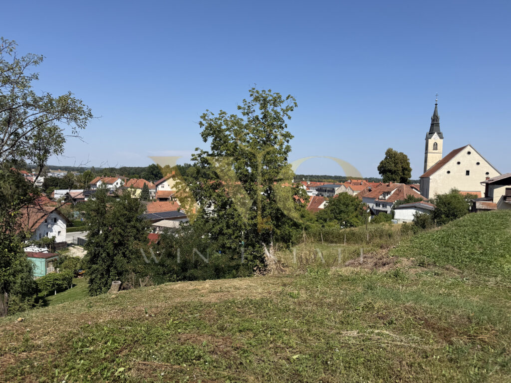 IMG_7480_rezultat